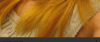 Screenshot_2016-08-18-13-18-45-1.png
