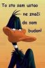 FB_IMG_1471730505144.jpg