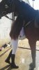 20151025_120021.jpg