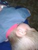 IMG_20160826_114731.jpg