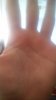 20160829_093722.jpg