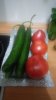 20160829_224952.jpg