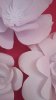 20160830_150807.jpg