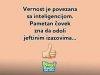 FB_IMG_1472630391684.jpg