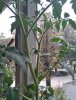 IMG_20160908_140409.JPG