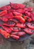 IMG_20160910_095518.jpg