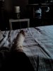 IMG_20160914_185018.jpg