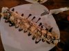 IMG_20160111_225154.jpg