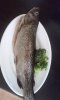 20160917_124037.jpg