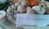 20160918_074622.jpg