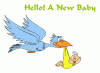 birdbaby.gif