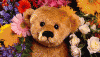 72acedc8345ed5d3f1c25788ae87a82e.gif