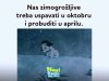 FB_IMG_14747508639488438.jpg