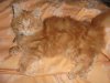 DSC00325.JPG