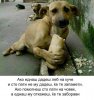 FB_IMG_1475685614962.jpg