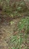 20161008_133514.jpg