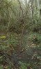 20161008_133800.jpg