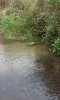 20161008_133406.jpg