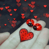 8b8DNmP.gif