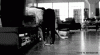 giphy (3).gif