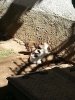 20161013_123040.jpg