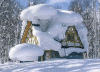 201320-201-snow1.gif
