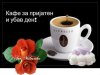 FB_IMG_1477581408412.jpg