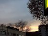 FB_IMG_1478971803411.jpg