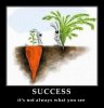 success carrot.jpg