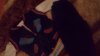 20161115_191251.jpg
