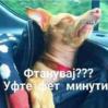 FB_IMG_1479553518875.jpg