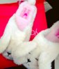 IMG_20161125_190436.jpg