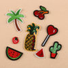 8Pcs-Embroidery-Cactus-Fruit-Sew-Iron-On-Patch.jpg