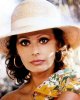 sophia_loren_gallery_40.jpg