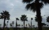 20161125_150255.jpg