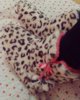 IMG_20161202_224604.jpg
