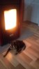 20161203_220256.jpg