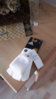 20161209_142953.jpg