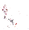 IMG_4716.GIF
