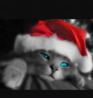 Screenshot_2017-01-01-20-08-23-1.png