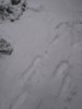 DSC_0450.JPG