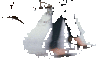 cameron-diaz-slips-on-ice_0.gif