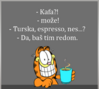 13567212_1076816729062422_7847679902675283997_n.png