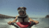 IMG_5054.GIF