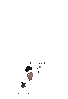 IMG_5286.GIF