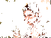 IMG_5287.GIF