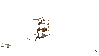 IMG_5290.GIF