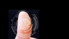 Untitled6.png