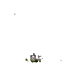 IMG_5319.GIF