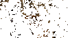 IMG_5412.GIF